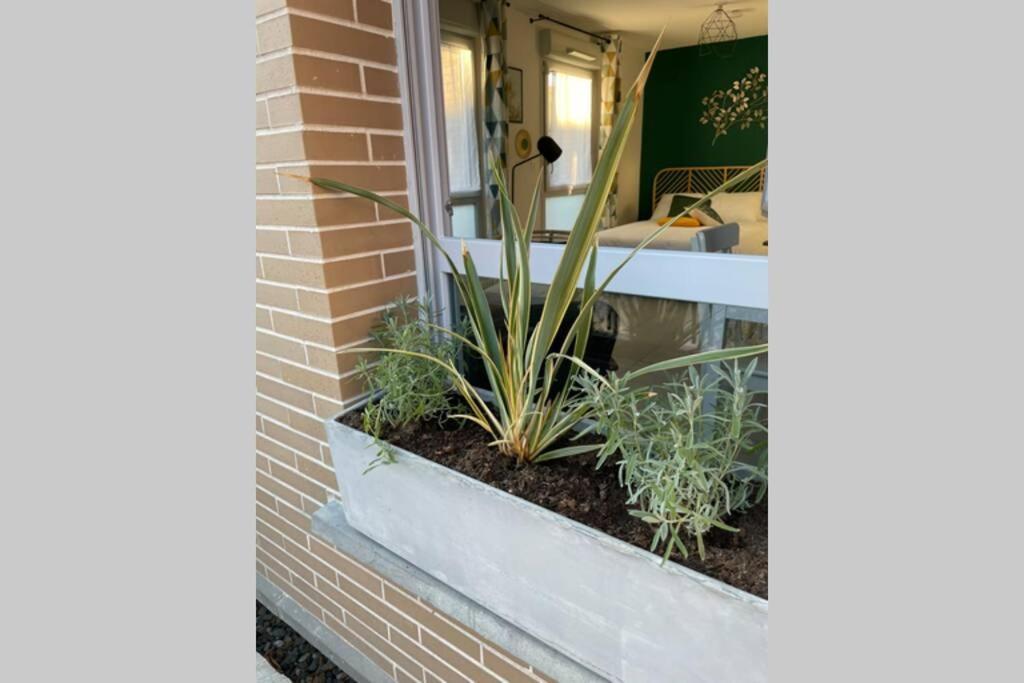 דירות טולוז Minimes, Studio Cosy Tout Confort, Wifi, Parking מראה חיצוני תמונה